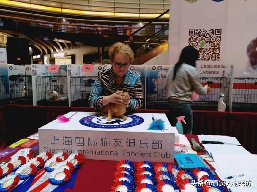 移民希腊华人真实生活怎么样？优势和劣势有哪些？