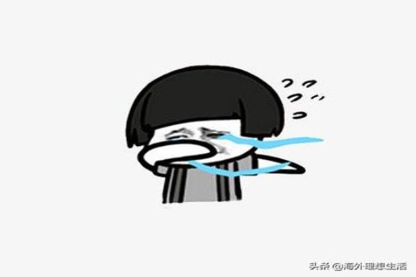 移民咨询顾问好做吗（移民顾问真心话）.