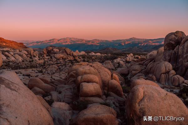 塞浦路斯移民就是个坑（被移民中介忽悠办理塞浦路斯移民）.