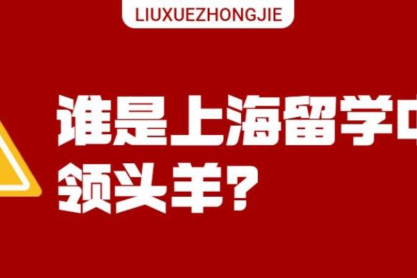 上海留学机构哪家最好（五分钟了解上海最佳留学中介）.