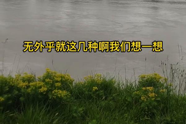 移民宣传内容有哪些（想要了解移民的魅力吗）.
