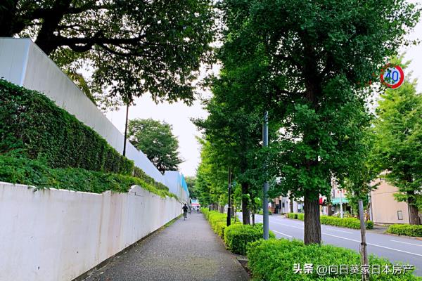 买房永久居住权（买房就能拥有永久居住权）.