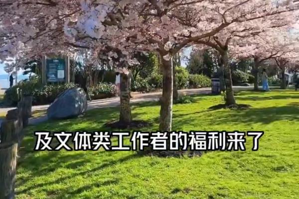 网络作家能申请移民吗.