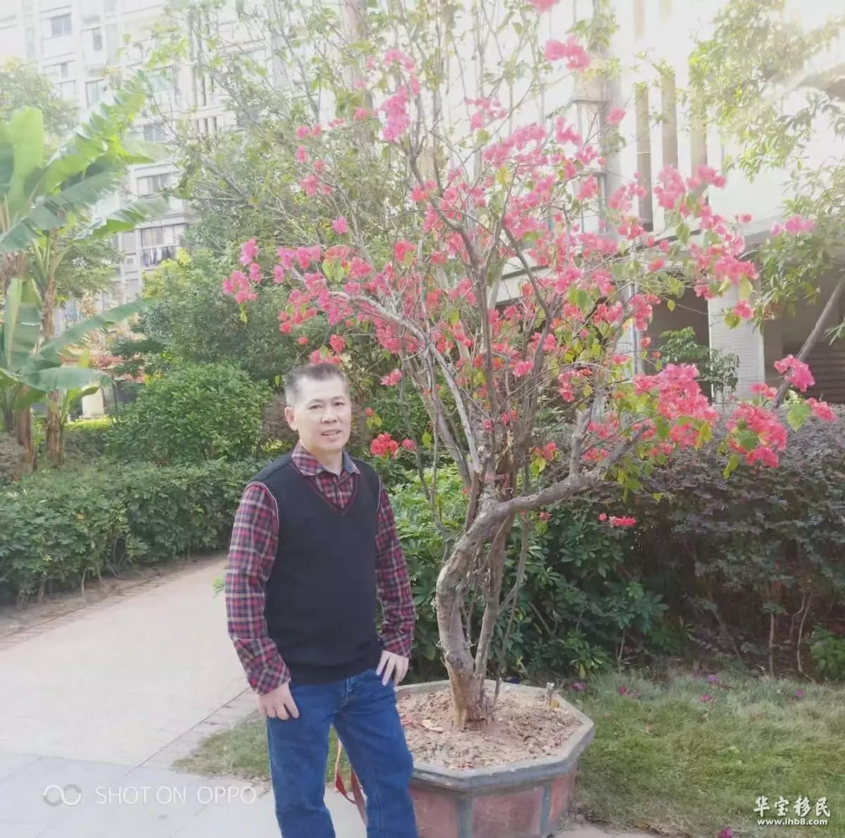 中国人在意大利做什么工作