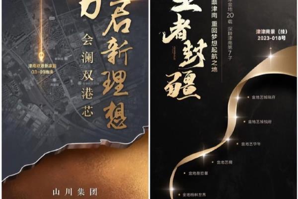 天津津南新城别墅（金地将代建别墅盘）.