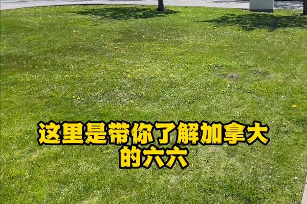 移民登陆加拿大时需要申报哪些个人物品.