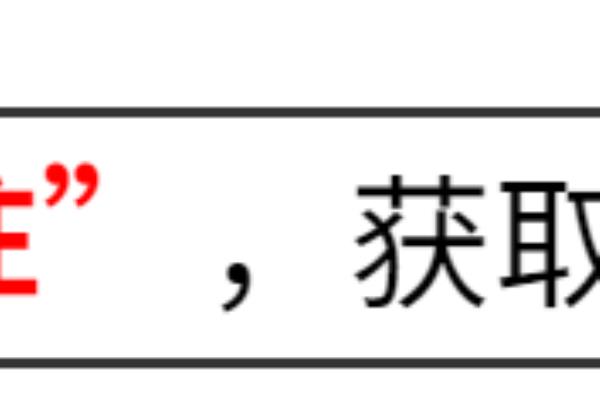 在美国老华人区做什么工作（都是做什么工作的）.