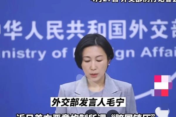 中国赴美抓捕重犯（公然起诉我国）.