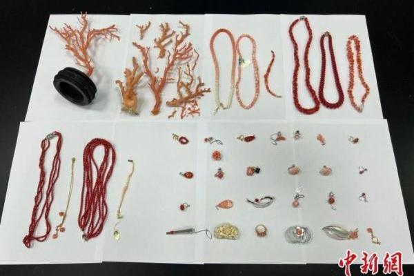珊瑚项链可以过海关吗（广州海关在进境寄递渠道查获濒危红珊瑚制品）.