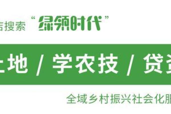 移民和拆迁补偿一样吗（农村的“搬迁”与“拆迁”有区别吗）.