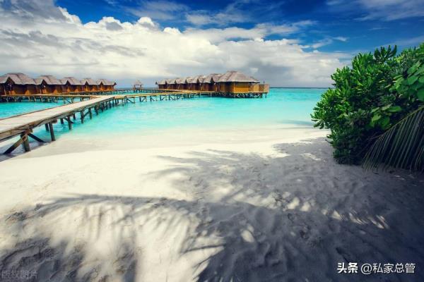 2023年不允许老百姓出国吗（2023年你有出境计划吗）.