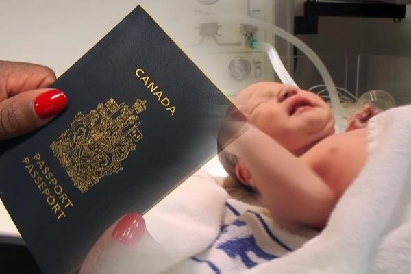 申请移民要开出生证明怎么开（境外出生的人申请公民身份的步骤）