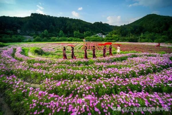 千岛湖移民多少人（10万人小县三分之一是浙江移民）.