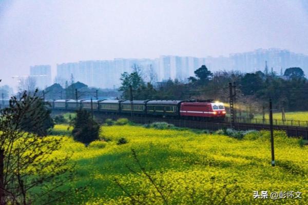 亲戚为了避税让我办个体户（避税还是违法）.