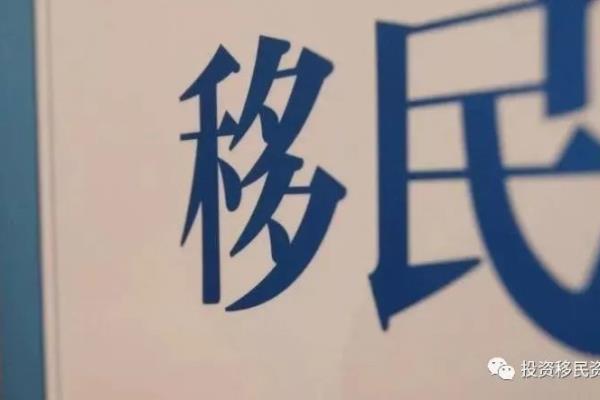 中国移民什么意思（探寻全球华人移民潮背后的故事）.