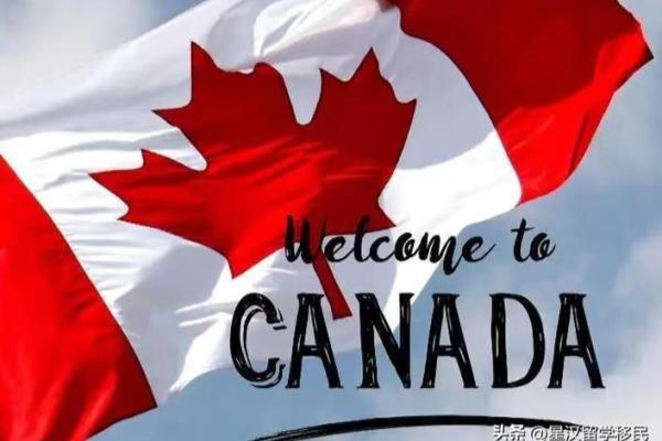 移民担保人需要几次签名（移民担保人需几次签名）