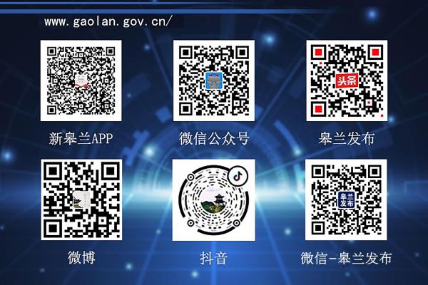 移民点是什么意思（移民点盛开“致富花”）