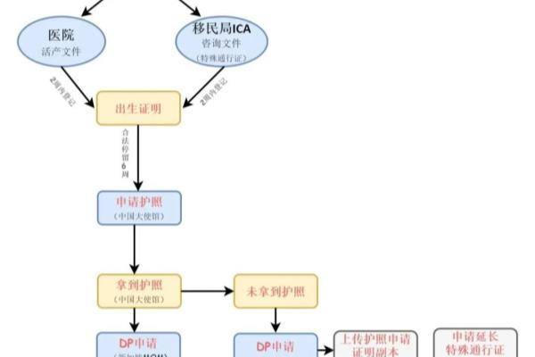 新加坡移民签证办理（如何快速获得新加坡移民签证）.